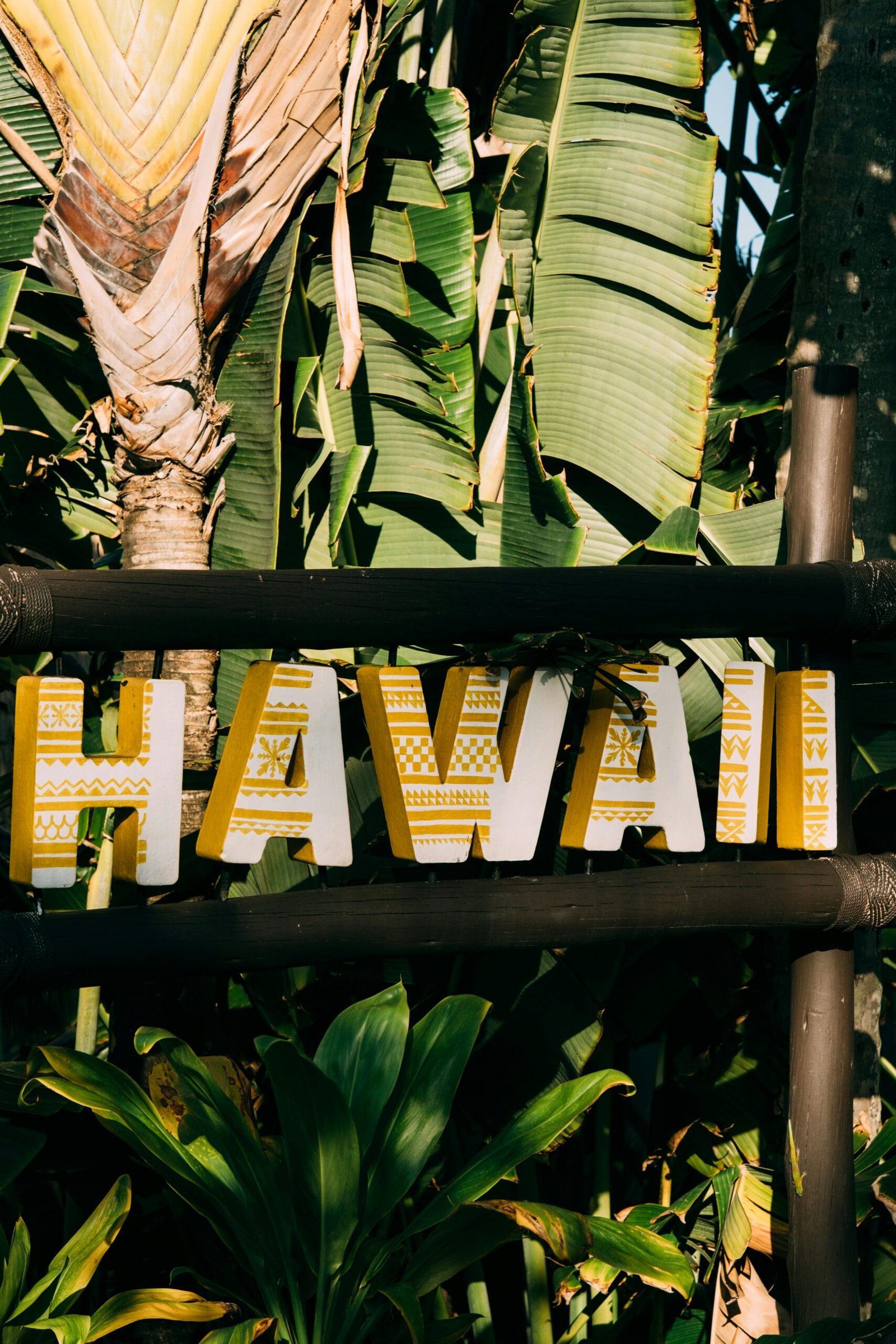 Hawaii Ocean Beach property in Hawaii for sale with JB Hawaii Homes
