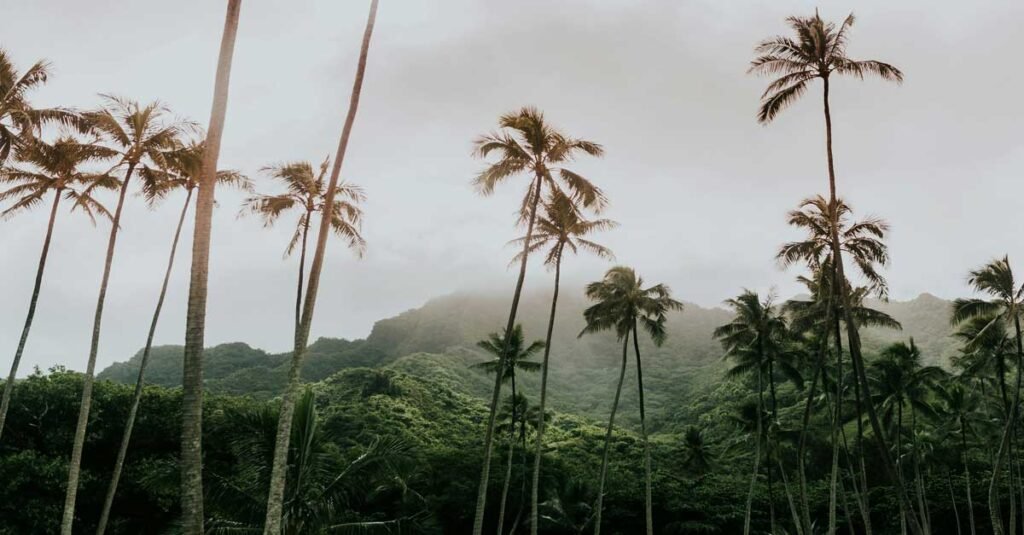 Oahu Homes for Sale