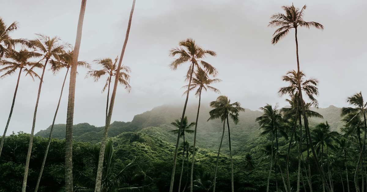 Oahu Homes for Sale